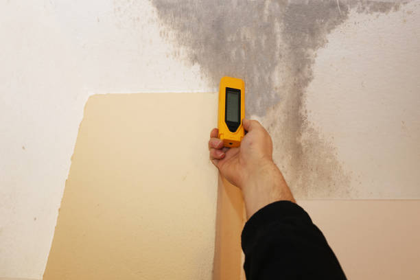 Best Indoor Air Quality Assessment  in Saginaw, MI