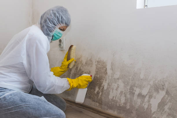 Forensic Mold Investigation in Saginaw, MI