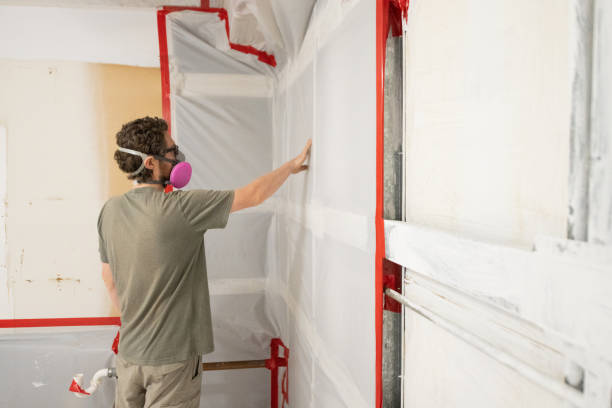 Reliable Saginaw, MI Mold Removal Solutions