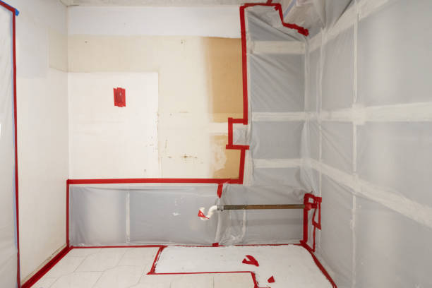 Best Black Mold Removal  in Saginaw, MI