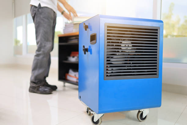 Best Environmental Consulting for Mold Prevention  in Saginaw, MI