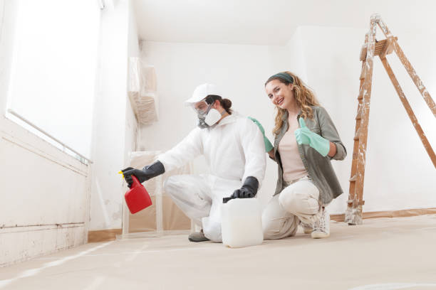 Best Mold Documentation for Insurance Claims  in Saginaw, MI