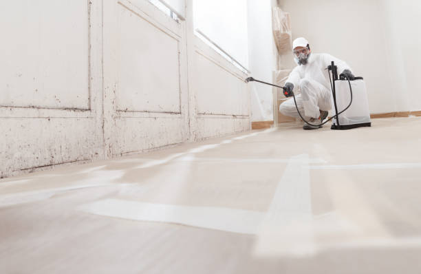 Asbestos and Lead Testing During Mold Inspection in Saginaw, MI